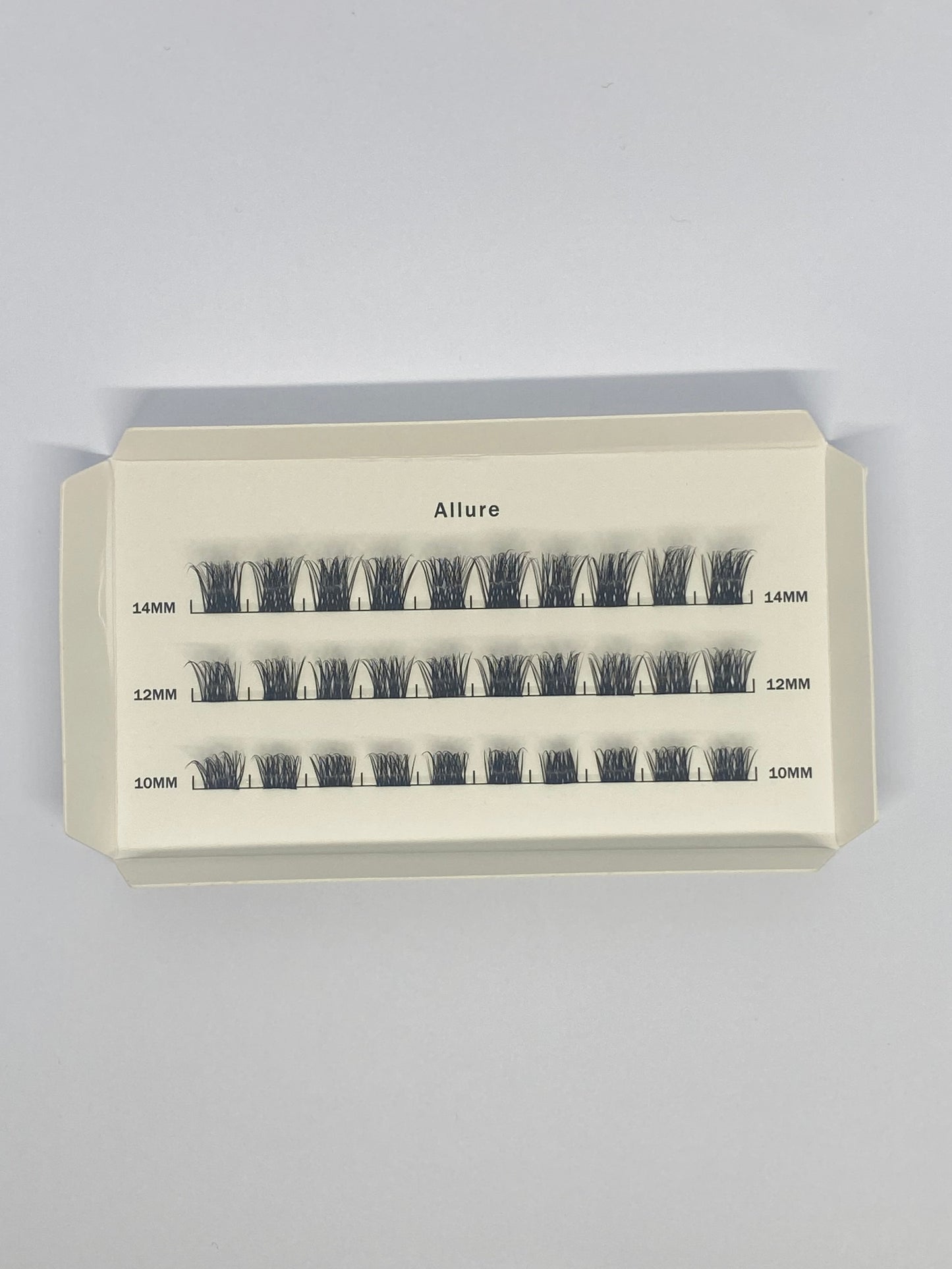 Allure lash kit